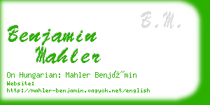 benjamin mahler business card